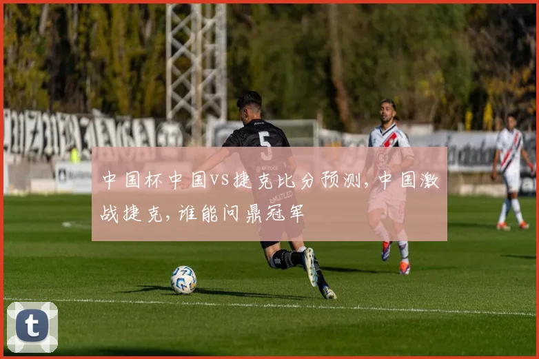 中国杯中国vs捷克比分预测,中国激战捷克,谁能问鼎冠军